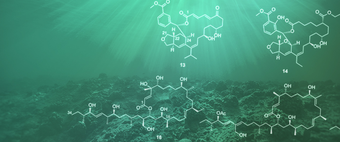 Discovery of Marine Natural Products as Promising Antibiotics against <em>Pseudomonas aeruginosa</em>