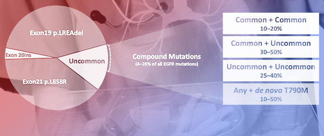 Uncommon EGFR Compound Mutations in NSCLC