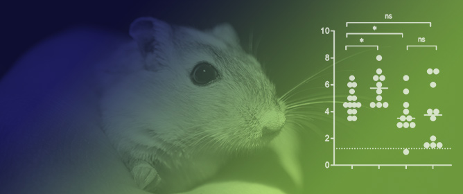 Ivermectin Does Not Protect against SARS-CoV-2 Infection in the Syrian Hamster Model