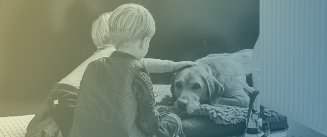 Child&ndash;Dog Attachment, Emotion Regulation and Psychopathology
