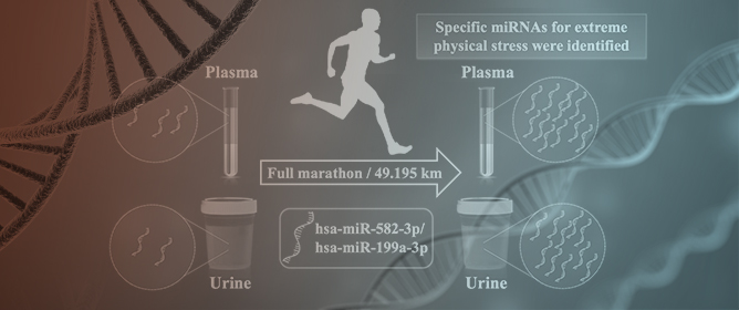 A Pilot Study of miRNA Expression Profile as a Liquid Biopsy for Full-Marathon Participants