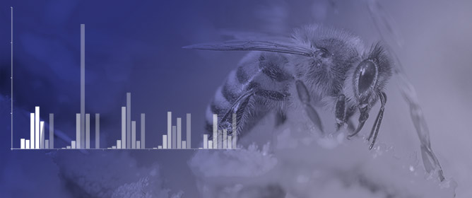 Honeybees as Bioindicators of Heavy Metal Pollution in Urban and Rural Areas in the South of Italy