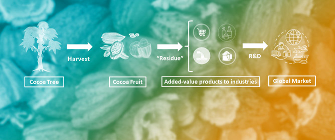 Cocoa By-Products: Characterization of Bioactive Compounds and Beneficial Health Effects